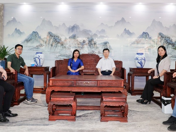 材通：廣東建材協會常務副會長陳環一行蒞臨參觀指導，共謀行業發展新藍圖